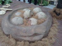 /album/galeria-de-fotos/exposi%c3%a7%c3%a3o%20dinossauros%20patagonia%20%289%29-jpg/